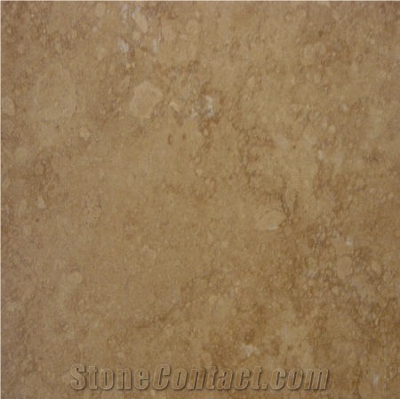 Noce Filled and Honed Travertine