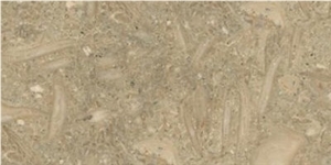 Seagrass Limestone Slabs & Tiles, Turkey Green Limestone