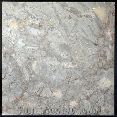 Rustic Grey Polished Marble