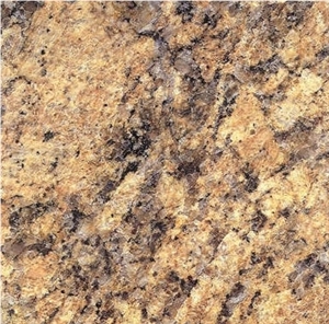 Giallo Veneziano Granite Slabs & Tiles, Brazil Yellow Granite
