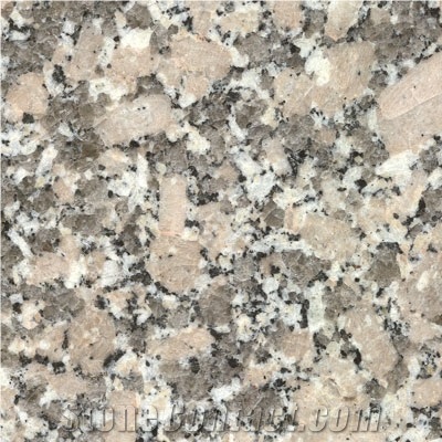 Gris Mondariz (Grey Mondariz) Granite