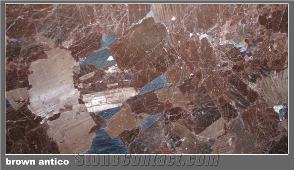Antico Brown Granite Slabs & Tiles, India Brown Granite
