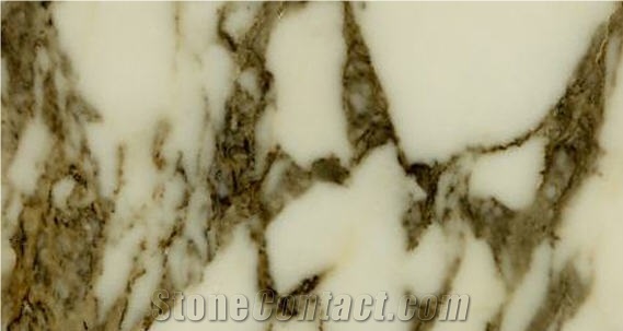 Arabescato Collettino Marble Slabs & Tiles