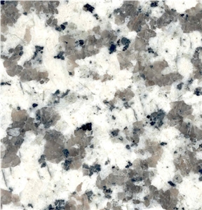 Pauline Grey Granite Slabs & Tiles, China White Granite