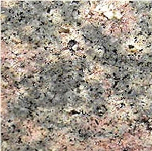 Bala Flower Granite Slabs & Tiles, India Green Granite