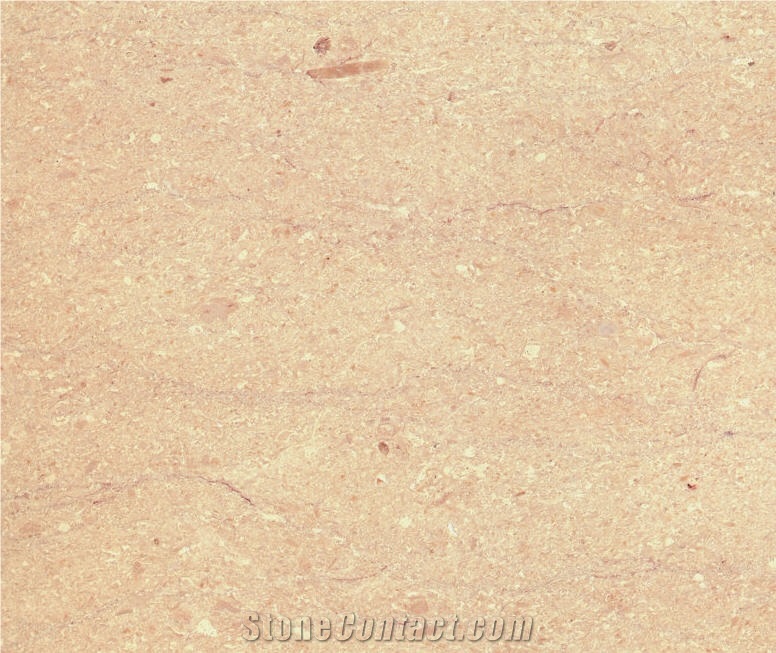 Beach Flower Beige Marble