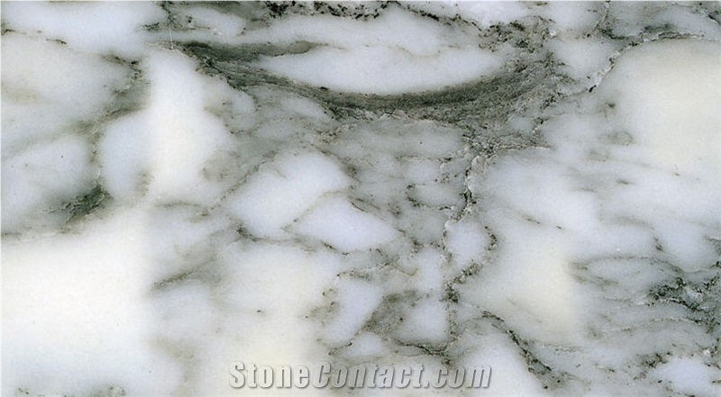 Arabescato Cervaiole, Italy White Marble Tiles, Slabs