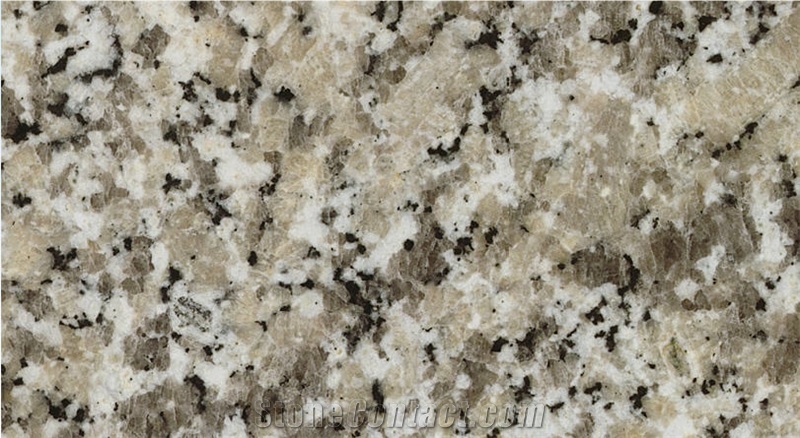 Luna Pearl Granite Slabs & Tiles, Italy Grey Granite