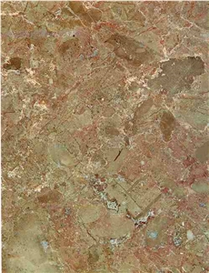 Brecha Tavira Limestone Slabs & Tiles