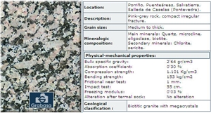 Gris Mondariz Granite Slabs & Tiles, Spain Grey Granite