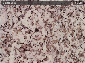 Branco Coral Granite Slabs & Tiles, Portugal Grey Granite