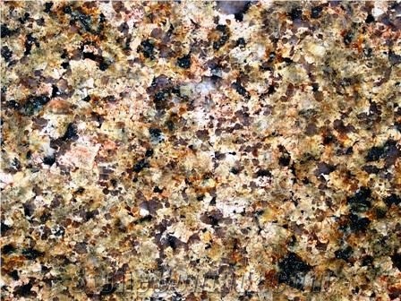 Nasara Gold Granite Slabs & Tiles