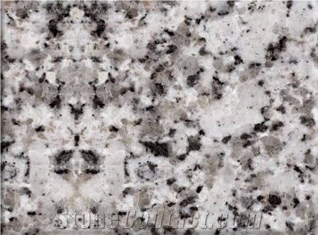 Blanco Extremadura Granite Slabs & Tiles, Spain White Granite