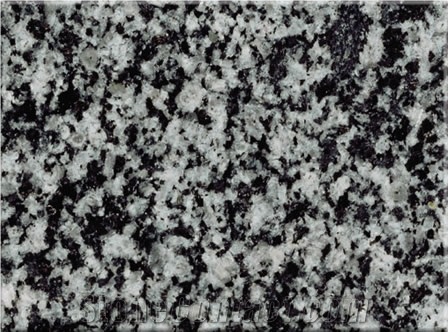 Negro Extremadura Granite Slabs & Tiles, Spain Black Granite