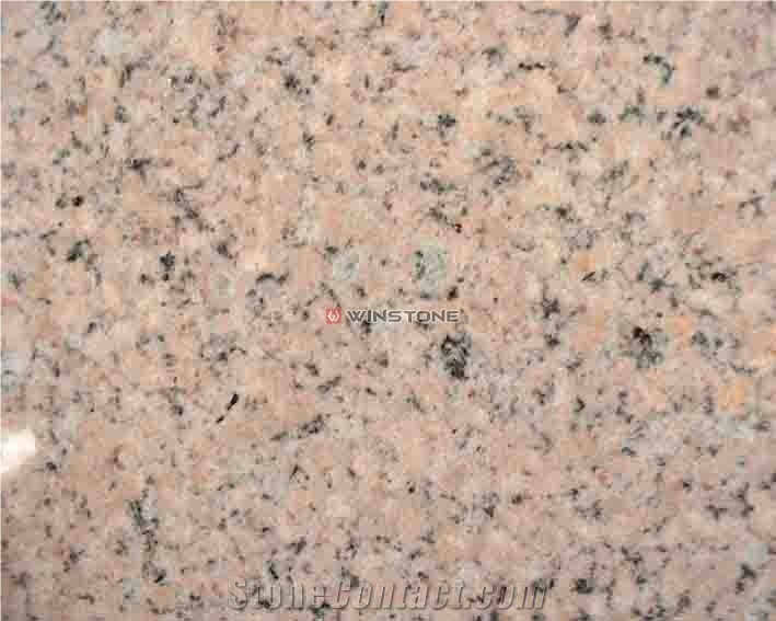 Rosa Pink Granite Slabs & Tiles, China Pink Granite