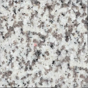 Tong an White Granite Slabs & Tiles, China Grey Granite