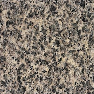 Leopard Skin Granite Slabs & Tiles