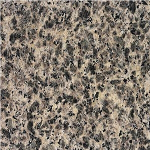 Leopard Skin Granite Slabs & Tiles