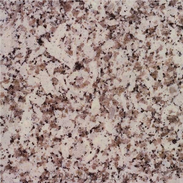 Branco Coral Granite Slabs & Tiles, Portugal Grey Granite