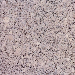 Pedras Salgadas Granite Slabs & Tiles, Portugal Grey Granite