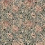 Granite Tiles (Bala Flower)