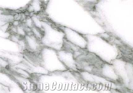 Arabescato Collettino Marble Slab & Tile