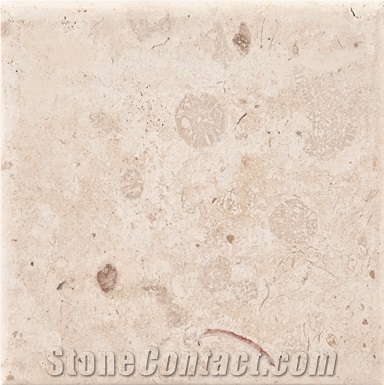 Ostra Shellstone Limestone Slabs & Tiles, Mexico Beige Limestone