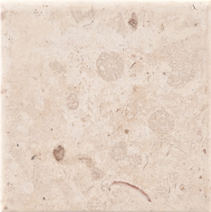 Ostra Shellstone Limestone Slabs & Tiles, Mexico Beige Limestone