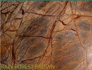 Rain Forest Brown Marble Slabs & Tiles, India Brown Marble