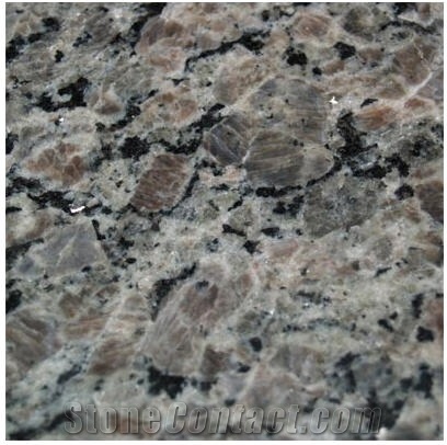 New Caledonia Granite Slabs & Tiles, Brazil Brown Granite
