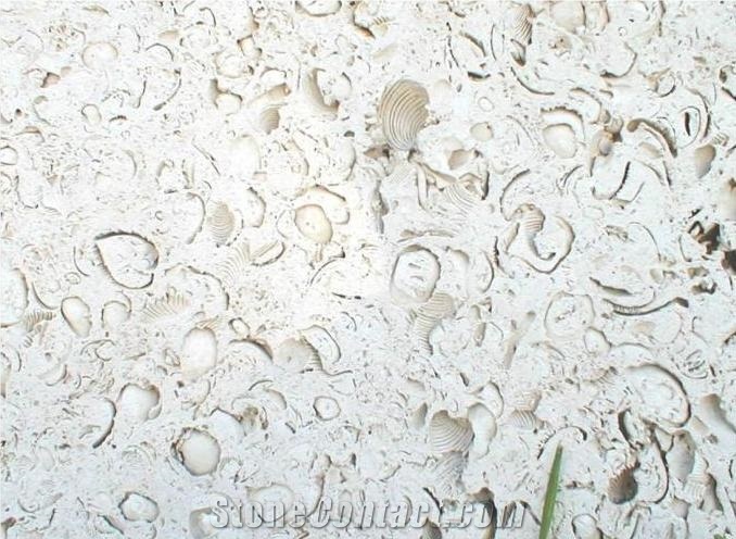 Coralina Limestone Slabs & Tiles, Colombia Beige Limestone