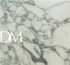 Arabescato Faniello Marble Slabs & Tiles, Italy White Marble
