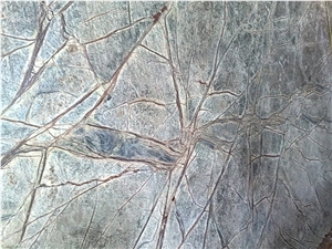 Rain Forest Green Marble Slabs & Tiles, India Green Marble