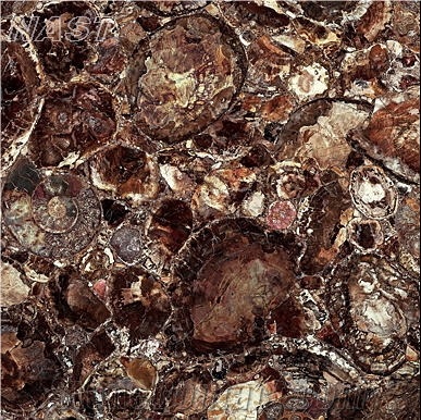 Semi Precious Stone - Brown Petrified Wood