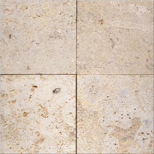 Marbella Shellstone Limestone Slabs & Tiles, Philippines Beige Limestone