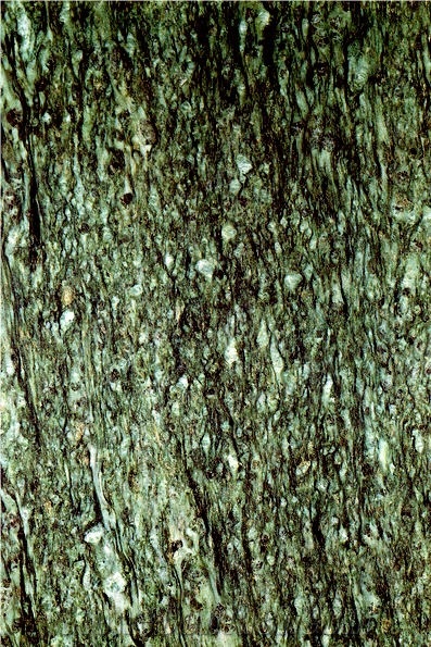 Verde Andeer Quartzite Slabs & Tiles, Switzerland Green Quartzite