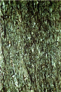Verde Andeer Quartzite Slabs & Tiles, Switzerland Green Quartzite