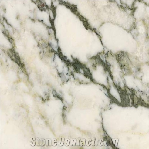 Arabescato Vagli Marble Slabs & Tiles, Italy White Marble