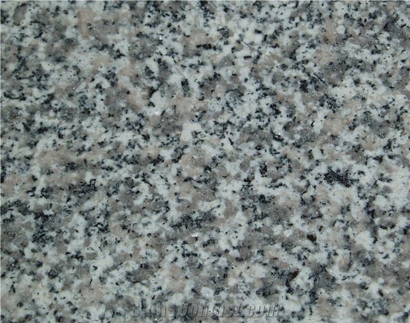 G623,Barry White,China Bianco Sardo,New Bianco Sardo, Sesame Light Grey Granite Cut to Size Tiles