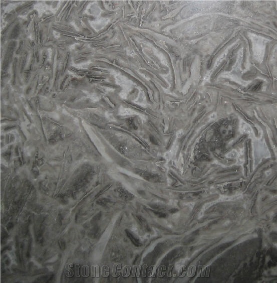 Gris Fosil Marble Slabs & Tiles, China Grey Marble