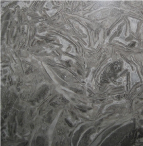 Gris Fosil Marble Slabs & Tiles, China Grey Marble