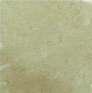 Light Creama Forest Bahman Marble