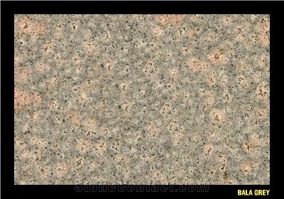 Bala Flower Granite Slabs & Tiles, India Green Granite