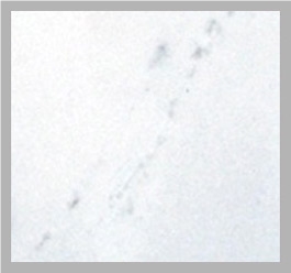 Bianco Sivec White Marble Slabs & Tiles