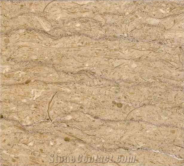 Cimbo Limestone Slabs & Tiles, Indonesia Beige Limestone