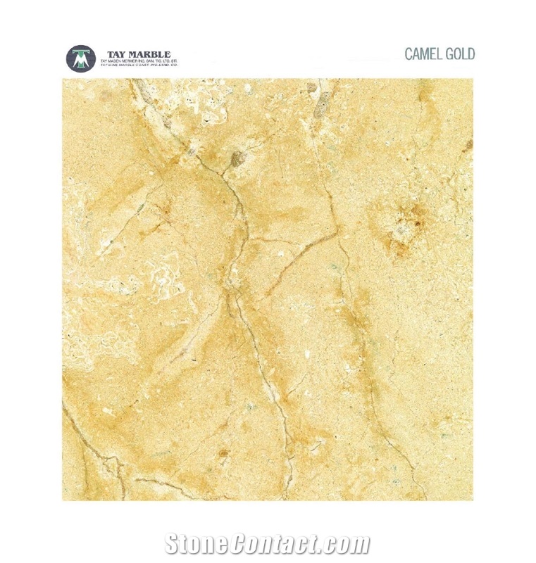 Camel Gold Limestone Slabs & Tiles, Turkey Yellow Limestone