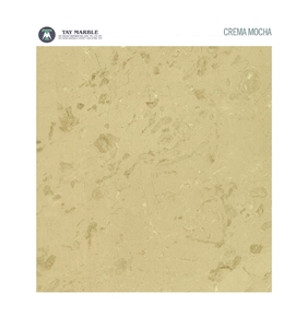 Crema Mocha Limestone Slabs & Tiles, Turkey Beige Limestone