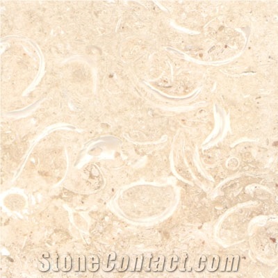Coquina Shellstone Limestone Slabs & Tiles, Mexico Beige Limestone
