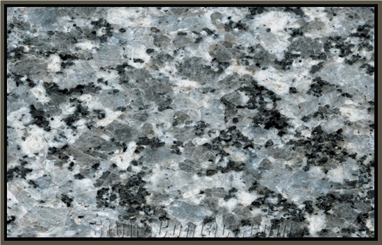 Ekbatan Hamedan Granite Slabs & Tiles, Iran Grey Granite