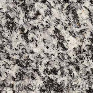 Serizzo Antigorio Granite Slabs & Tiles, Italy Grey Granite